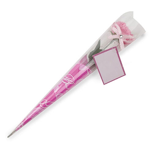 Hogar Cifra ESTUCHE DETALLE CLAVEL
